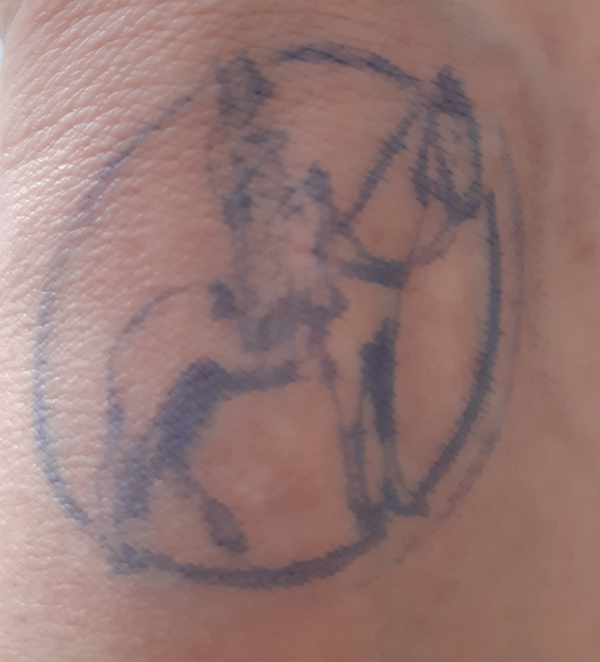 Einführung Herwig Gössl als Erzbischof