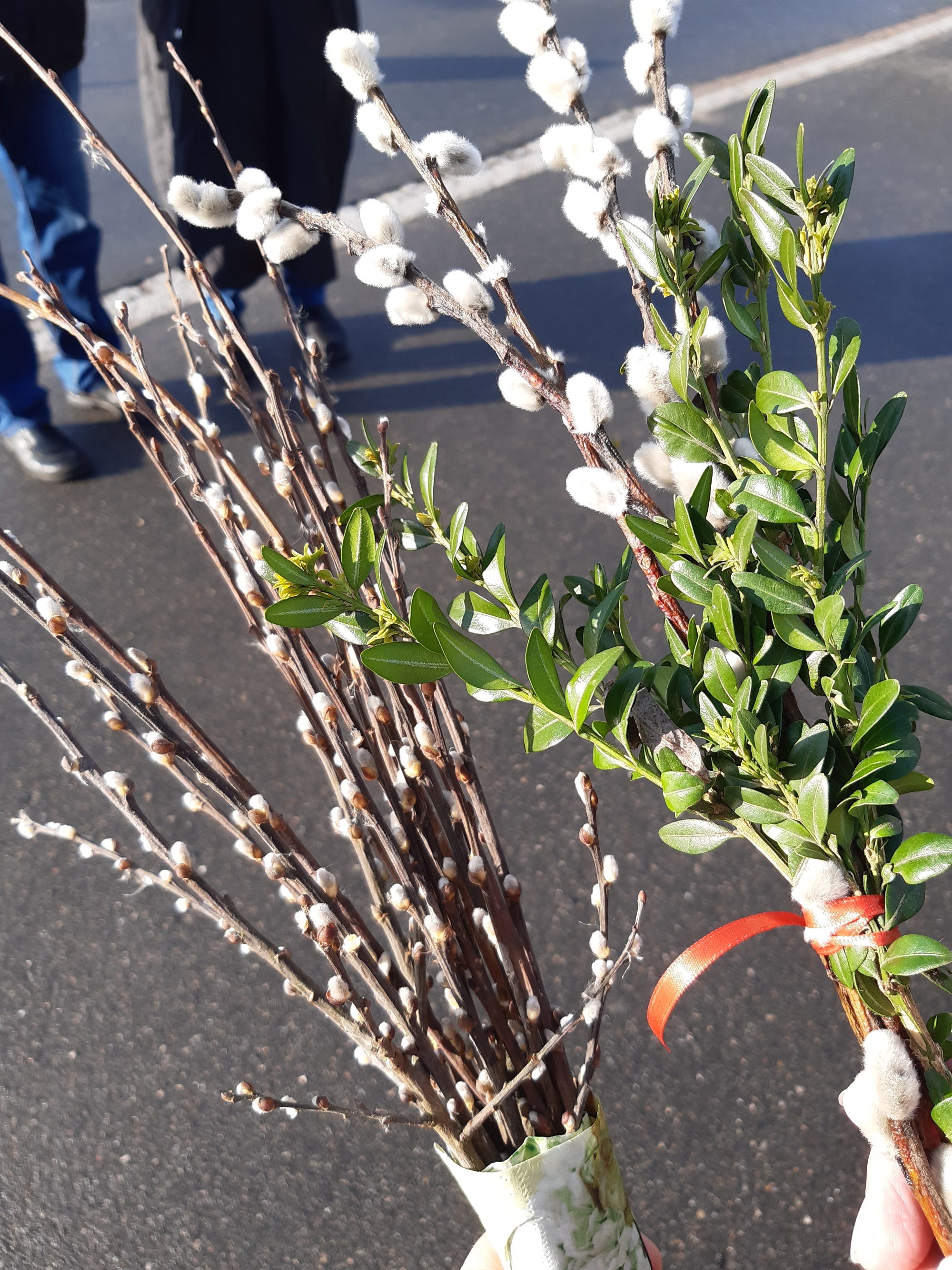 Palmsonntag (Buschen)
