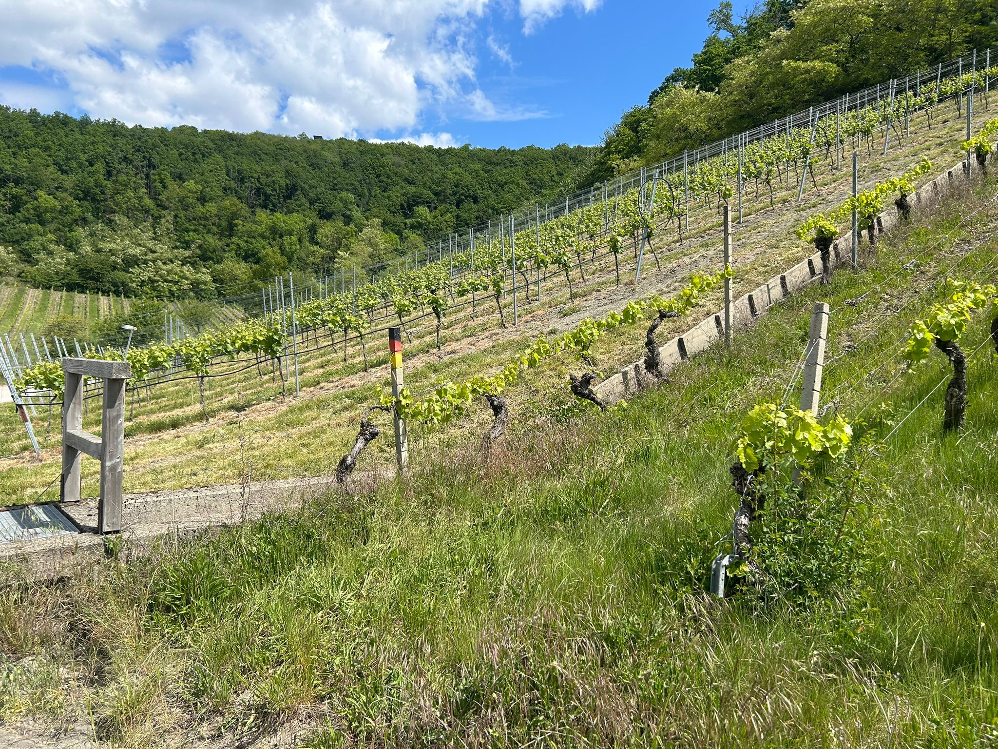 Unterwegs auf dem Fränkischen Marienweg