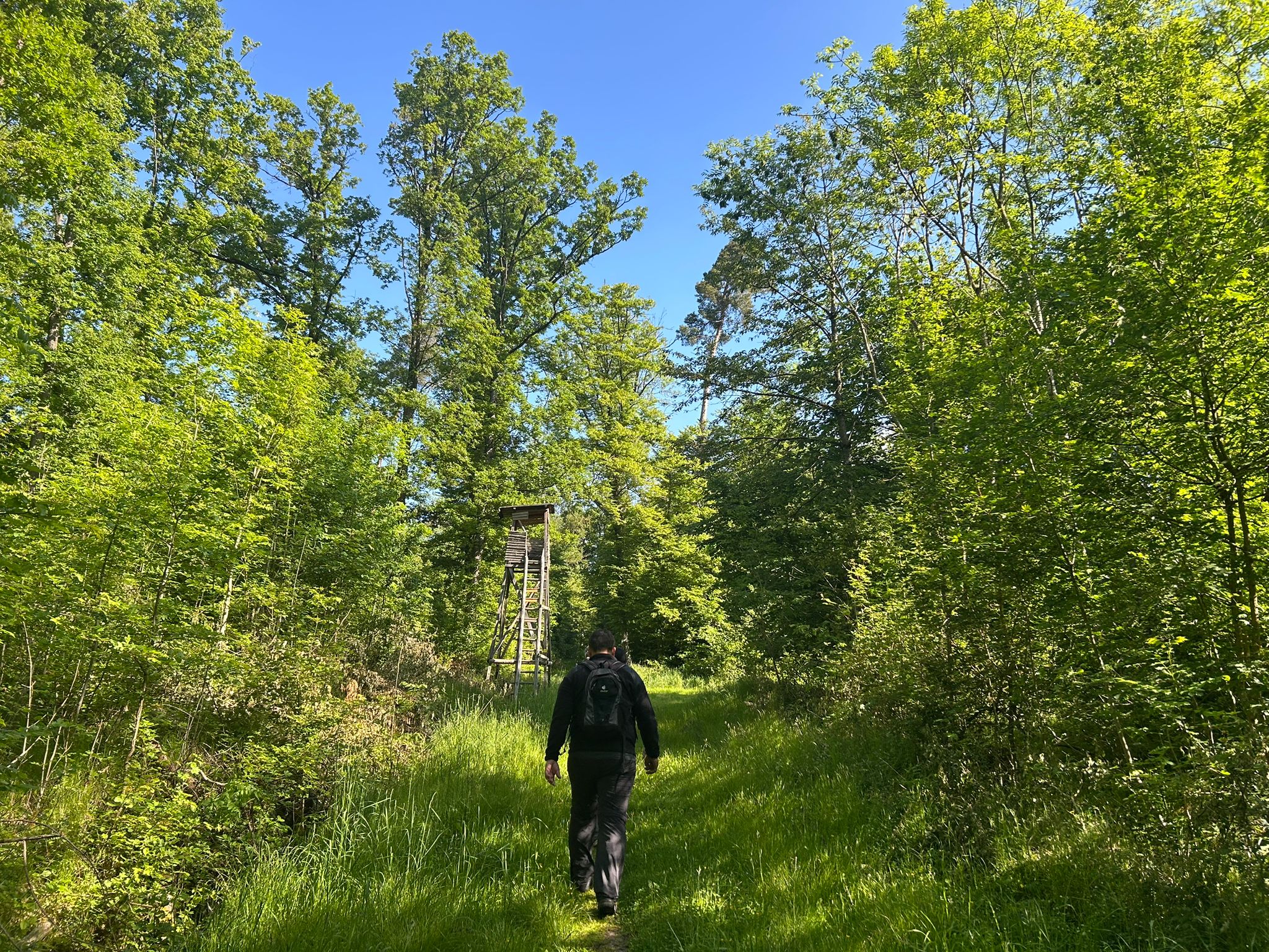 Unterwegs auf dem Fränkischen Marienweg