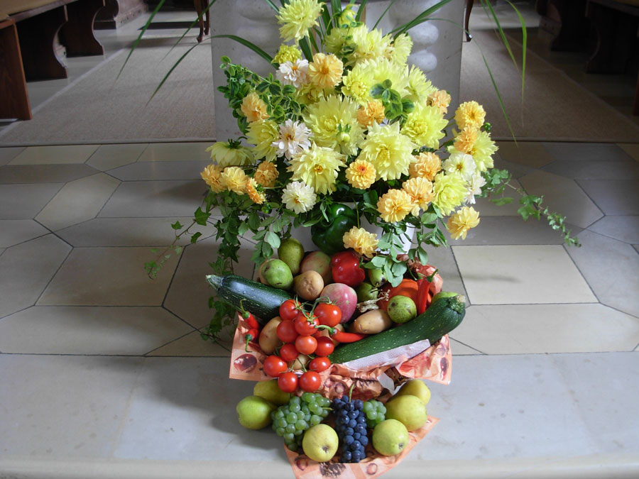 junggeblieben-dscn1755-jpg